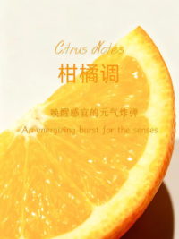 JIETU1779636697694